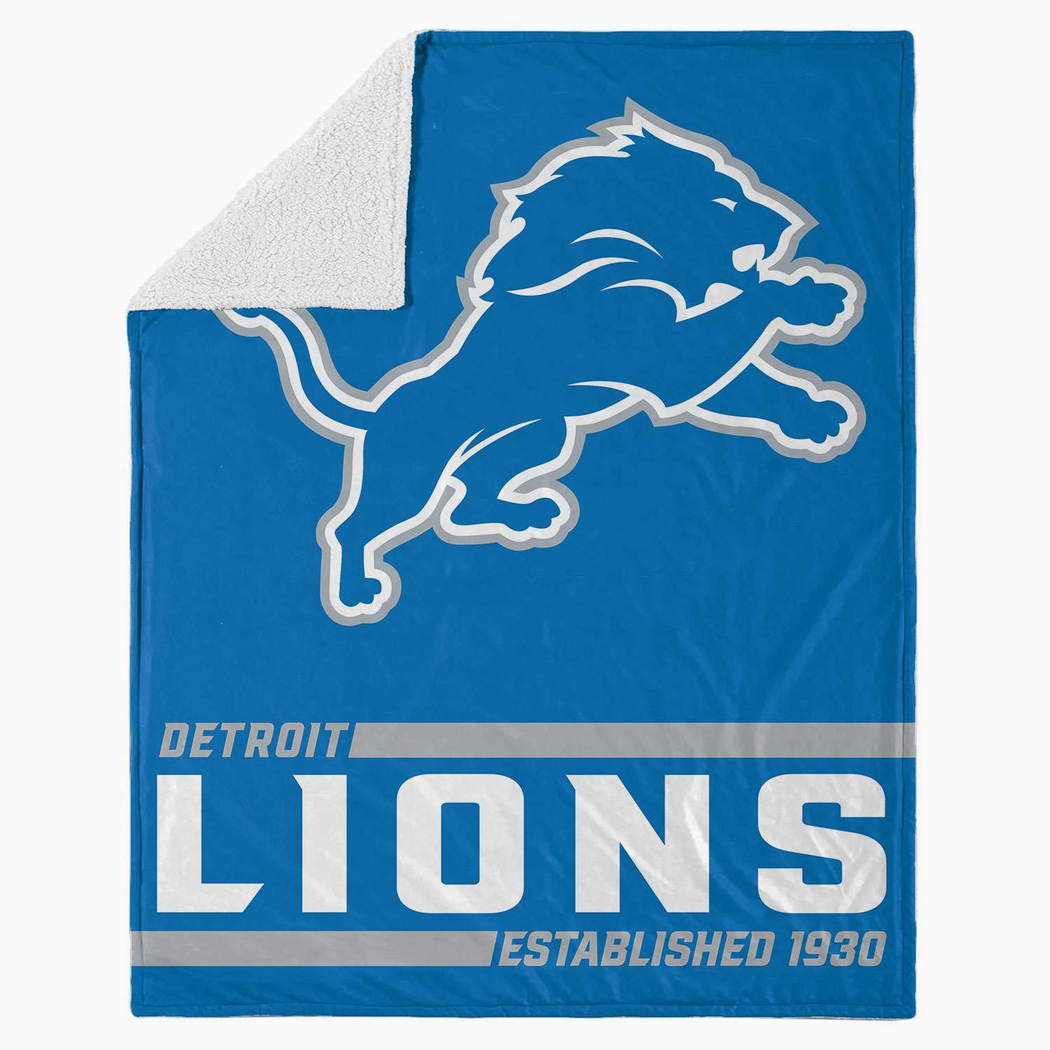 Logo Brands Detroit Lions 14.5-in x 16-in Polyester Bleacher Seat at